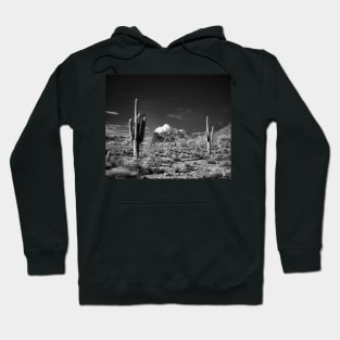 McDowell Sonoran Preserve, Scotsdale Arizona Hoodie